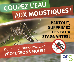 Surveillance du moustique tigre en Région Wallonne — Ville de Chièvres