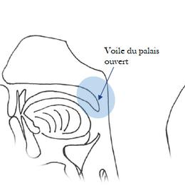 𝕃𝕖 𝕝𝕒𝕧𝕒𝕘𝕖 𝕕𝕖 𝕟𝕖𝕫 Voici quelques informations