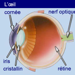 schema_oeil_chlibourne.png